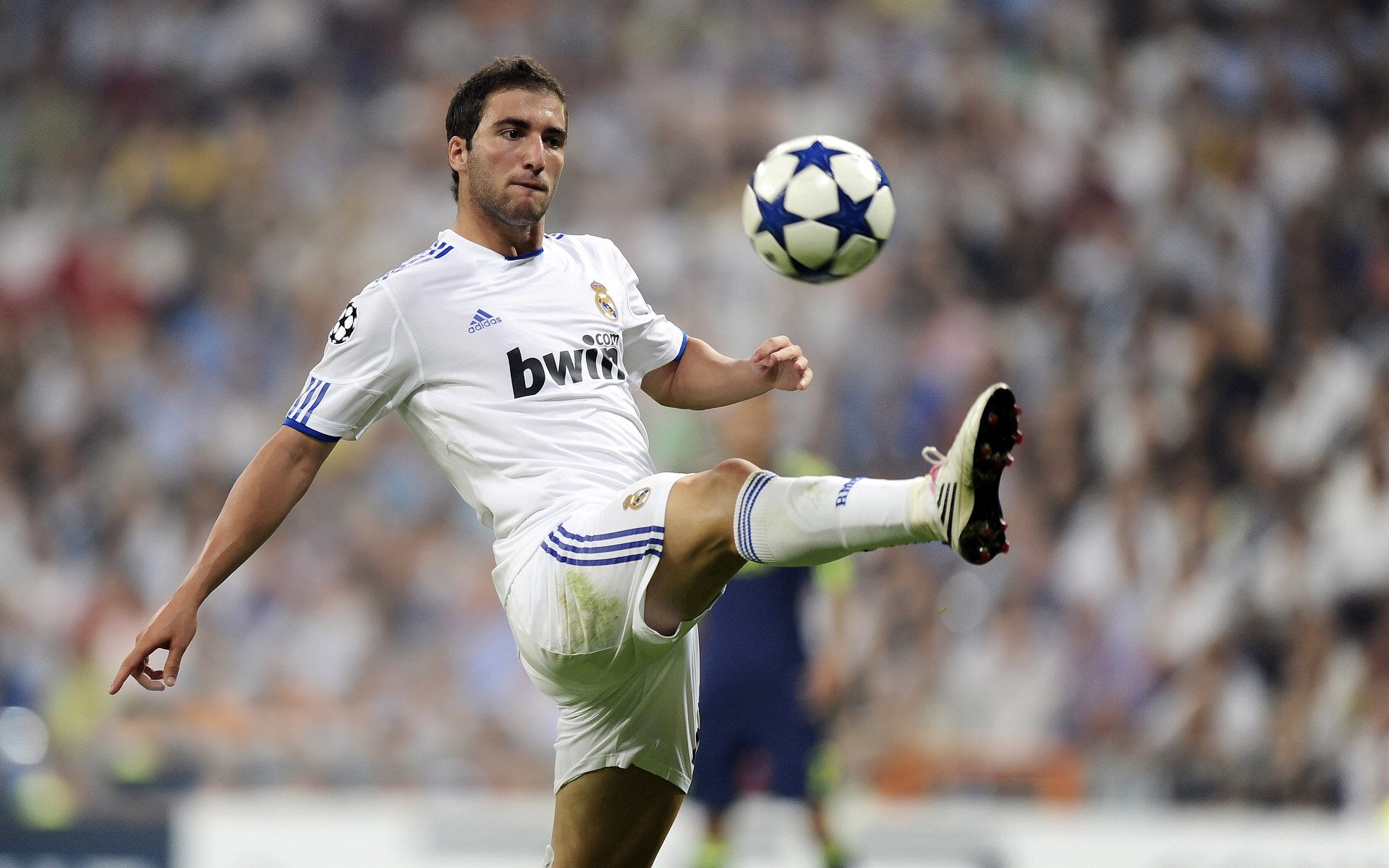 _球迷狂欢节：现场互动、签名会热情高涨_，球迷的疯狂举动